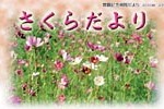 sakuradayori